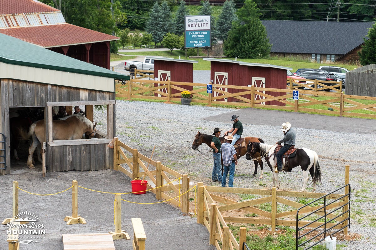 Experience  Harper Bros. Mountain