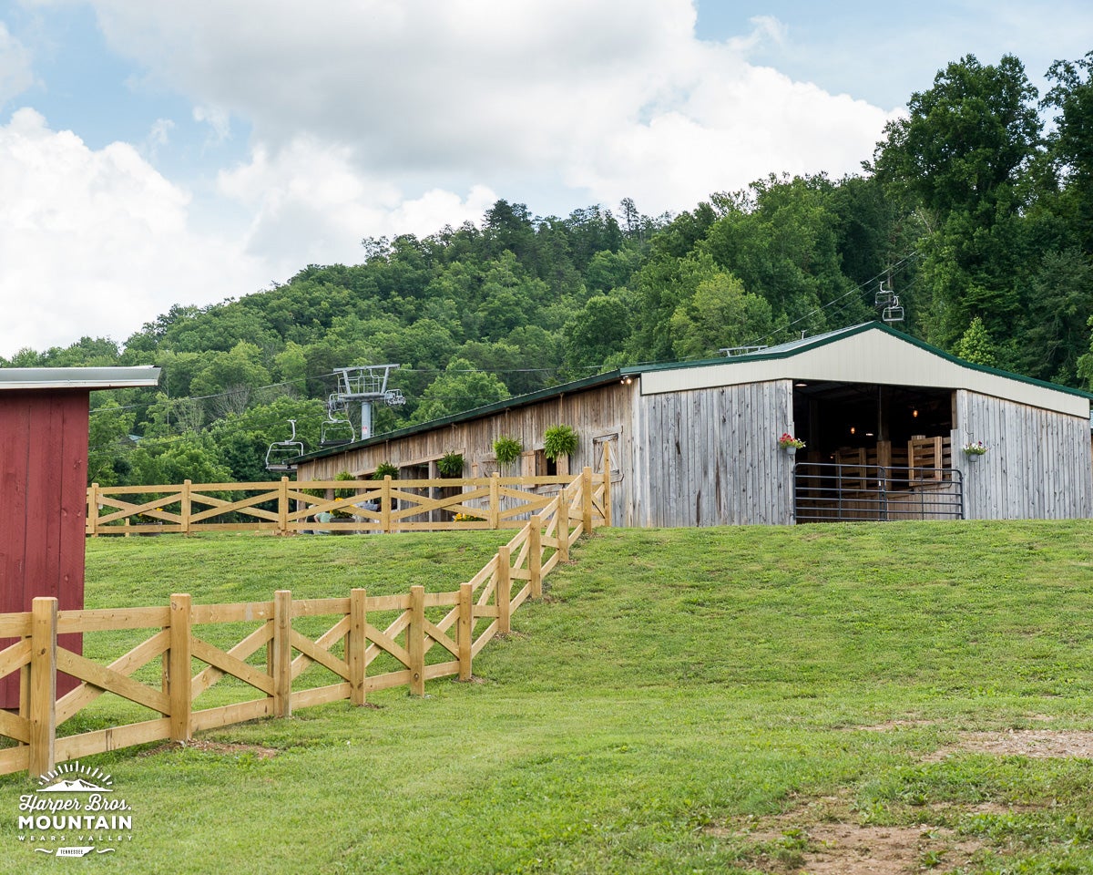 Experience  Harper Bros. Mountain